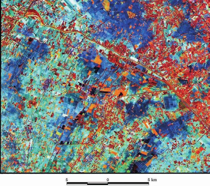 16 Fig. 6 - Immagine da satellite della pianura emiliano romagnola dell area del Foglio 203.