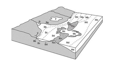 66 Fig. 16 - Schema della distribuzione della associazioni a foraminiferi e ostracodi nei diversi ambienti deposizionali (da Amorosi et al. 2005) Fig.