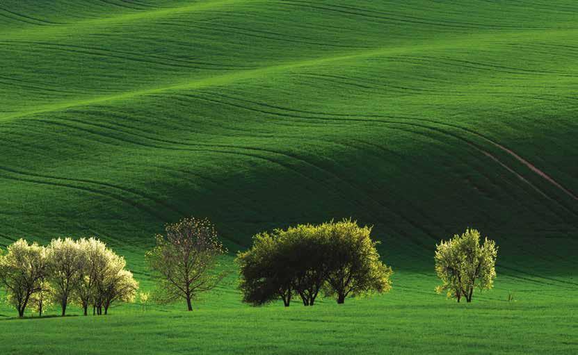 Comprende i seguenti programmi: Pausa Mediterranea by FOOD, promuove la cultura della sana e corretta alimentazione in pausa pranzo Il buono che avanza, in partnership con la Onlus Cena dell