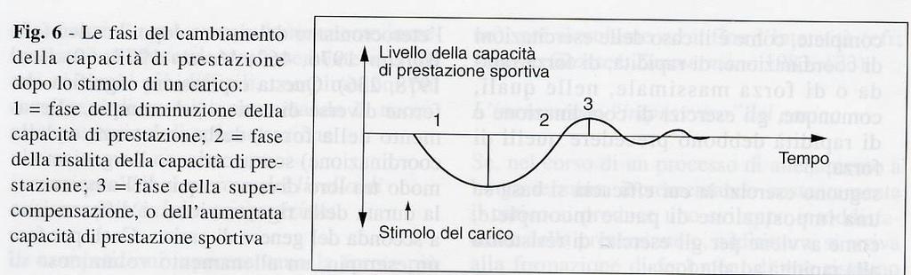 Weineck L