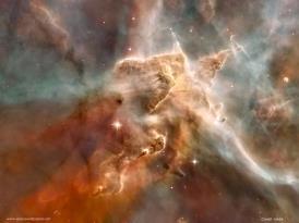 Le stelle nascono nelle nebulose, nubi costituite da polveri