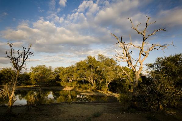 Da notare che i safari verranno svolti durante le ore più fresche della giornata (alba e tramonto), quando gli animali, cioè, sono più facili da avvistare.