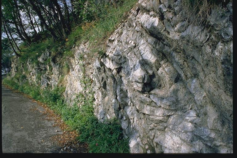 SOVRASCORRIMENTO E FRATTURE INCLINATE In Valsassina presso Lecco la formazione della Dolomia Principale, che costituisce la parete rocciosa che occupa la maggior parte della fotografia, è sovrascorsa