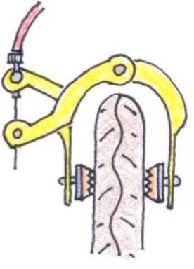 FRENI I freni devono assicurare un arresto della bicicletta pronto ed efficace. E allora sarà bene ricordare che la frenata risulterà funzionale usandoli entrambi, ma non basta!