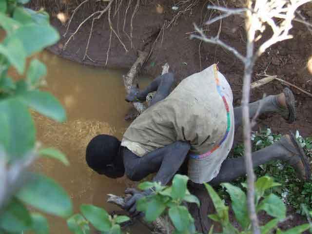 dei luoghi più affascinanti d'africa: ospita 30.000 animali ed una grande varietà di uccelli, tutti stanziali grazie alla presenza dei laghi.