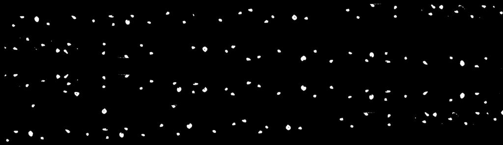 Membrane impermeabilizzanti in doppio strato TESTUDO o HELASTA 1. Solaio 2.