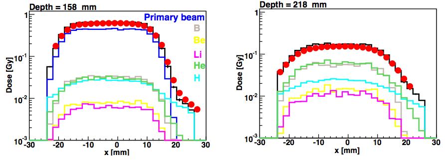 Frammentazione: Beam Broadening I frammenti secondary, specialmente quelli leggeri come H e He, allargano il profile di dose laterale.