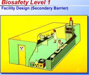 Laboratorio di base - livello di biosicurezza 1 per microrganismi di classe 1 Laboratorio di base - livello di biosicurezza 2 per microrganismi di classe 2 Laboratorio di sicurezza - livello di