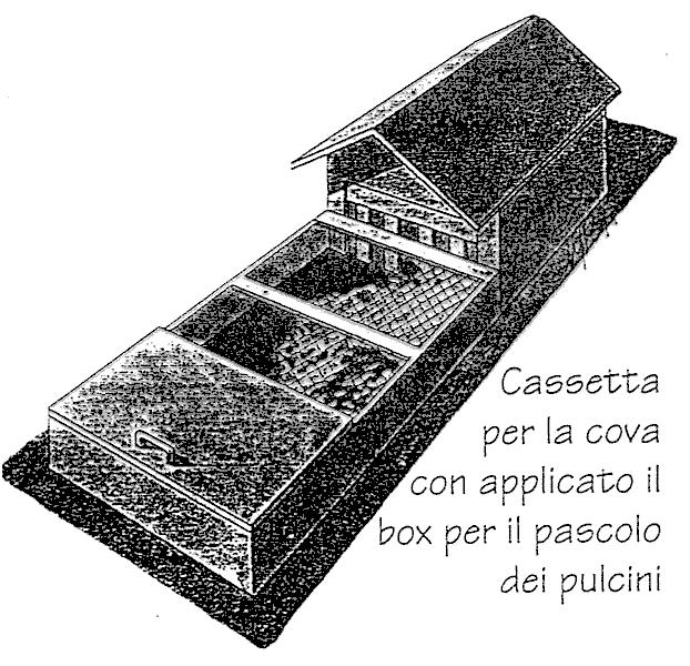 Argomento Fase Norma Tipo di : Produzione di PRODUTTORE RIPRODUTTORI Grand-parents (genitori dei riproduttori) GP Tipo di : Produzione di PRODUTTORE Starne e pernici SOGGETTI DA per reintroduzione