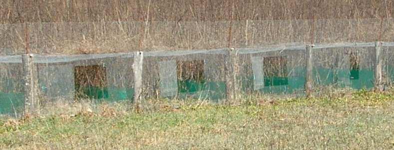 La riproduzione a terra dei perdicini in parchetti di ridotta superficie gli espone alle parassitosi (il ciclo oro-fecale non è interrotto come nella riproduzione in gabbia) è necessario quindi: