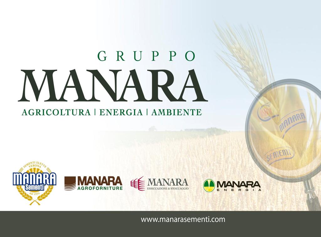 2011 Gruppo Manara