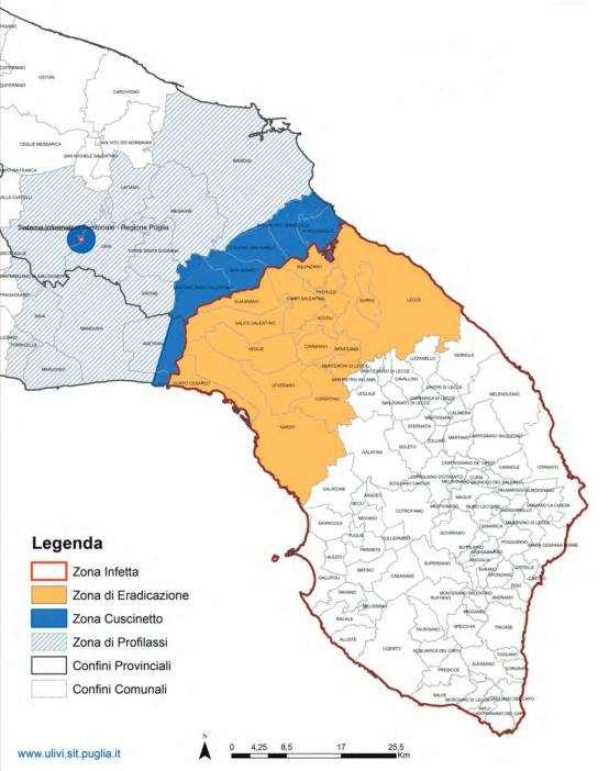 Figura 6 Zonazione del Piano Silletti (Regione Puglia, 2014) È stata quindi riprogrammata una nuova strategia da adottare nelle diverse zone delimitate e del Cordone fitosanitario come riportate