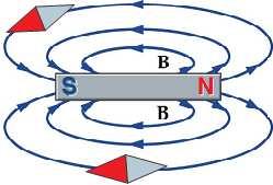 Si addensano in prossimità dei poli del magnete e si diradano allontanandosene. La loro densità è direttamente proporzionale all intensità del campo magnetico.