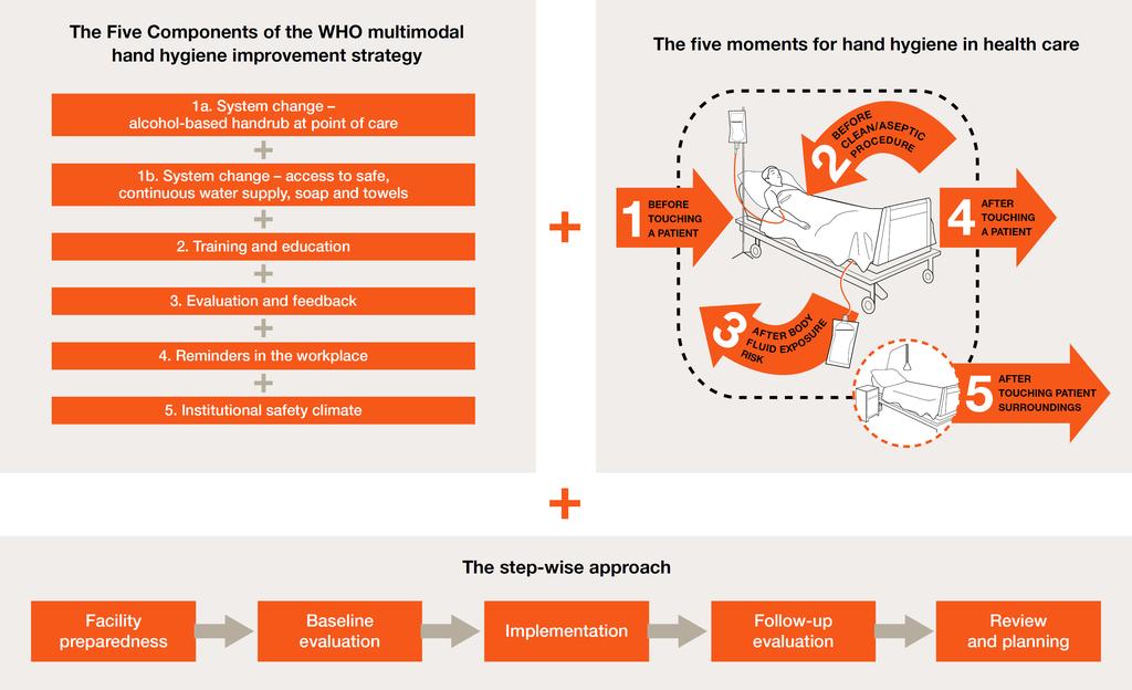 L elemento chiave ed altamente innovativo della strategia elaborata dagli e- sperti dell OMS è rappresentato dai " My 5 Moments for Hand Hygiene ", geniale nella sua semplicità, pratico e facile da