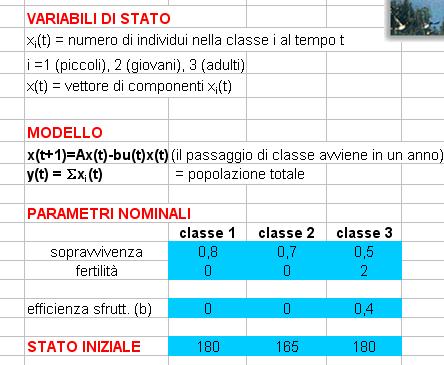 ESEMPIO(2): GESTIONE DI UNA POPOLAZIONE Esercizio in Excel (vedi sito