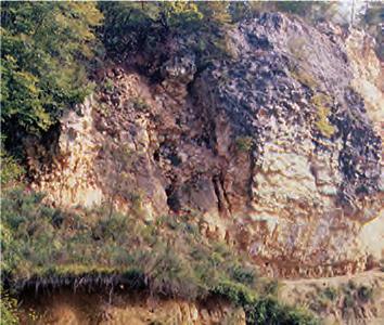 Fig. 1 - Ubicazione di Cava Albanello di Nogarole Vicentino e visione della cava con punto di ritrovamento dell esemplare studiato (*) / Location of the Albanello quarry in Nogarole Vicentino and