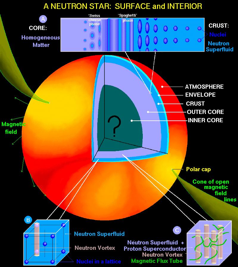 Stelle di neutroni La fisica di queste stelle non e ancora ben compresa Dopo 40 anni non