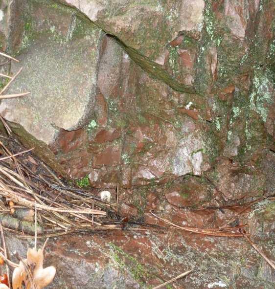 Le rocce del Monteferrato Il terreno è formato da rocce come il SERPENTINO(o marmo verde di Prato), una pietra verde e un po nera, che un tempo veniva estratta ed usata per costruire chiese