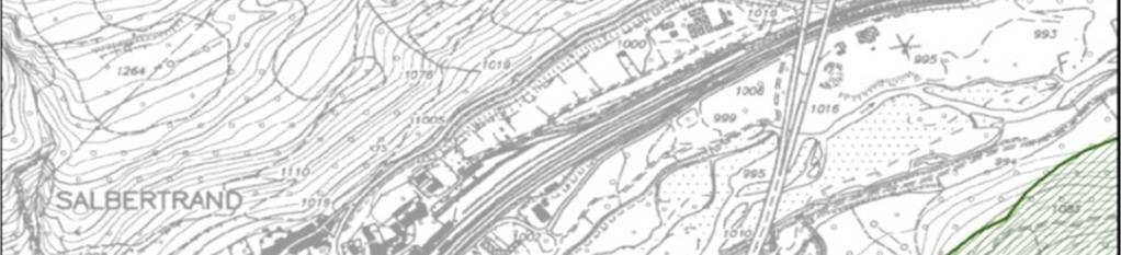 Sono stati delimitati 20 plot circolari (9 a Salbertrand e 11 a Bardonecchia) di 5 m di diametro con l'ausilio di un cordino e ognuno di essi è stato georeferenziato mediante GPS Garmin Dakota20.