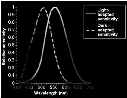 fotopica: λ max = 555 nm Visione