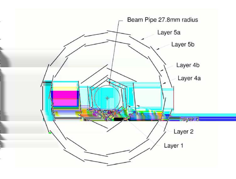 te da strisce di fibra di carbonio/kevlar. La disposizione dei moduli è rappresentata in figura 2.4. Figura 2.4: Sezione trasversa dell SVT.