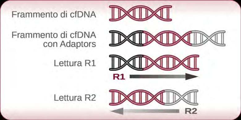 Tecnologia di nuova generazione Migliore qualità dei risultati Maggiore risoluzione L introduzione del