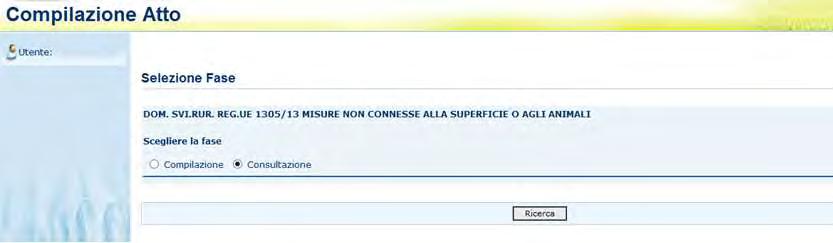 86-87 2.6.4. CONSULTAZIONE Gli utenti abilitati al servizio di consultazione possono accedere all applicazione, senza avere però la possibilità di modificare alcun dato.