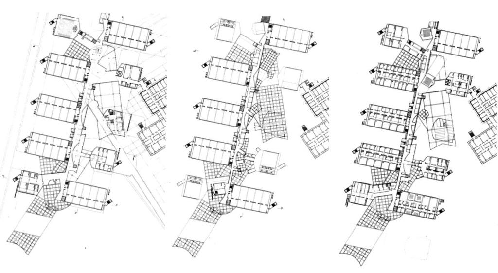 PIANTE Come abbiamo visto, il termine pianta deriva dalla Geometria Descrittiva.