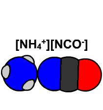 Origine del termine IMIA ORGANIA omposti