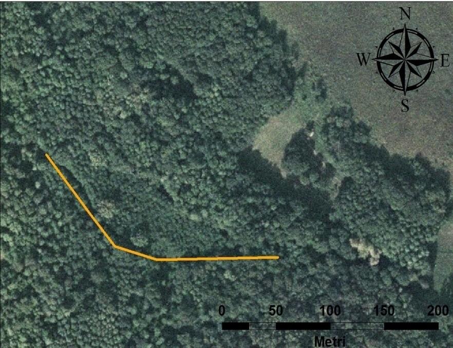 Rispetto agli anni passati, nel 2014 non vi è stata alcuna osservazione di anfibi, né schiacciati sulla strada né attivi nelle zone immediatamente limitrofe alla carreggiata.