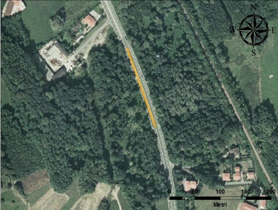 l sito di avvistamento è localizzato al margine settentrionale del bosco a Est della strada, dove è ancora presente una discreta area umida che appare