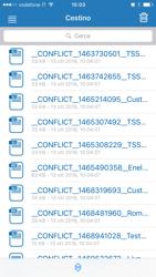 Categorie file Nel Cestino sono conservati i file eliminati dall utente.