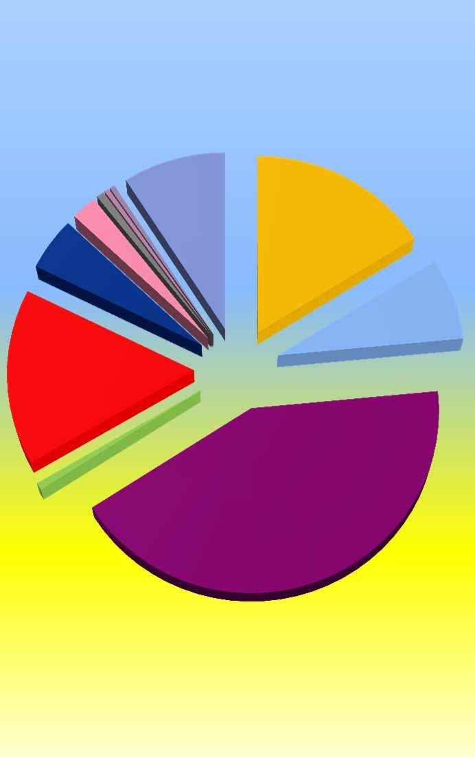 SPESE CORRENTI e QUOTE CAPITALE MUTUI TOTALE con AMBITO solo COMUNE 0,31% 0,33% 0,48% 6,42% 1,95% 16,38% 0,43% 0,47% 9,09% 0,68% 16,10% 2,28% 3,37% 24,38% 5,26% 4,78% 15,70% 7,40% 0,66% 0,58% 40,54%