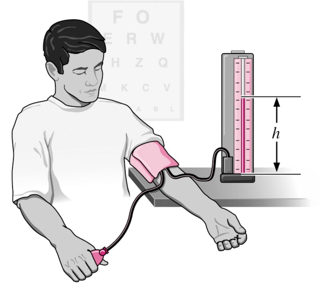3.25 La pressione del sangue è misurata, normalmente, arrotolando una sacca chiusa piena d aria, collegata ad un manometro metallico, attorno al braccio di una persona all altezza del cuore.