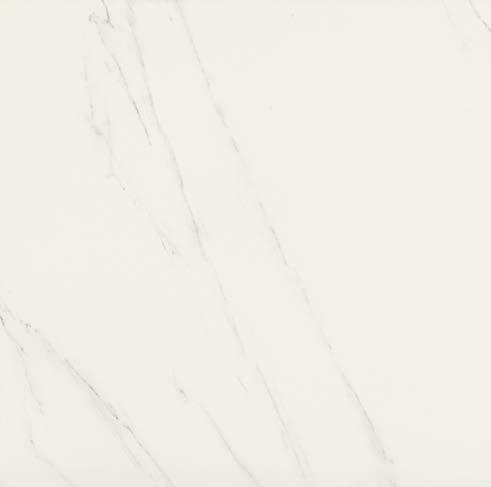 00221 CARRARA LEV/RET 100 60x60 PEI V V3 00234 CARRARA SQUARE