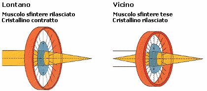 Ma perché l occhio si stanca?