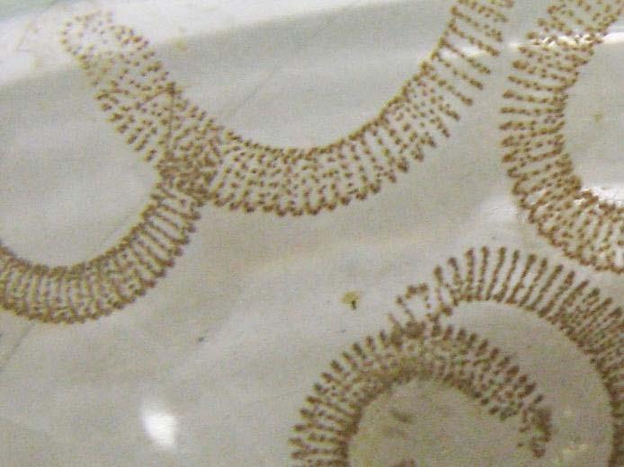 Alla comparsa delle prime pupe, sono state prelevate 9 larve di stadio IV da ogni contenitore, per un totale di 45 larve per replica (ossia 90 per trattamento).