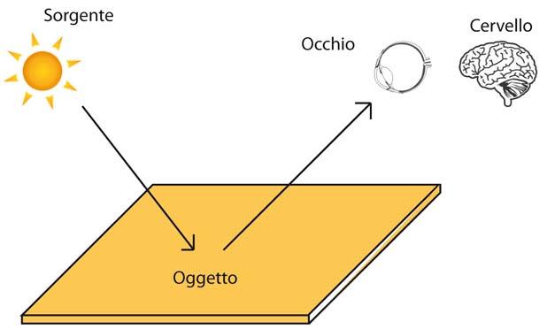 2.0 IL COLORE, SENSAZIONE SCONOSCIUTA Il colore è una senzasione fisiologica che il nostro cervello utilizza per riconoscere gli oggetti che ci circondano.