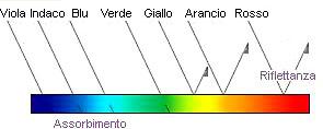 Possiamo dire dunque, che la colorazione di un oggetto può essere espressa tramite la lunghezza d onda λ, l energia della sorgente luminosa S, la riflessione diffusa dell oggetto R e lo stimolo del