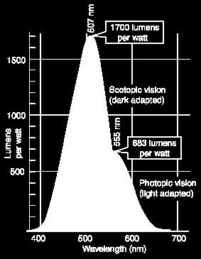 monocromatica.