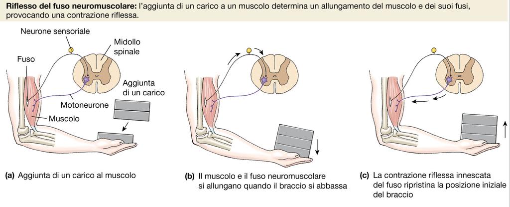 Un esempio pratico