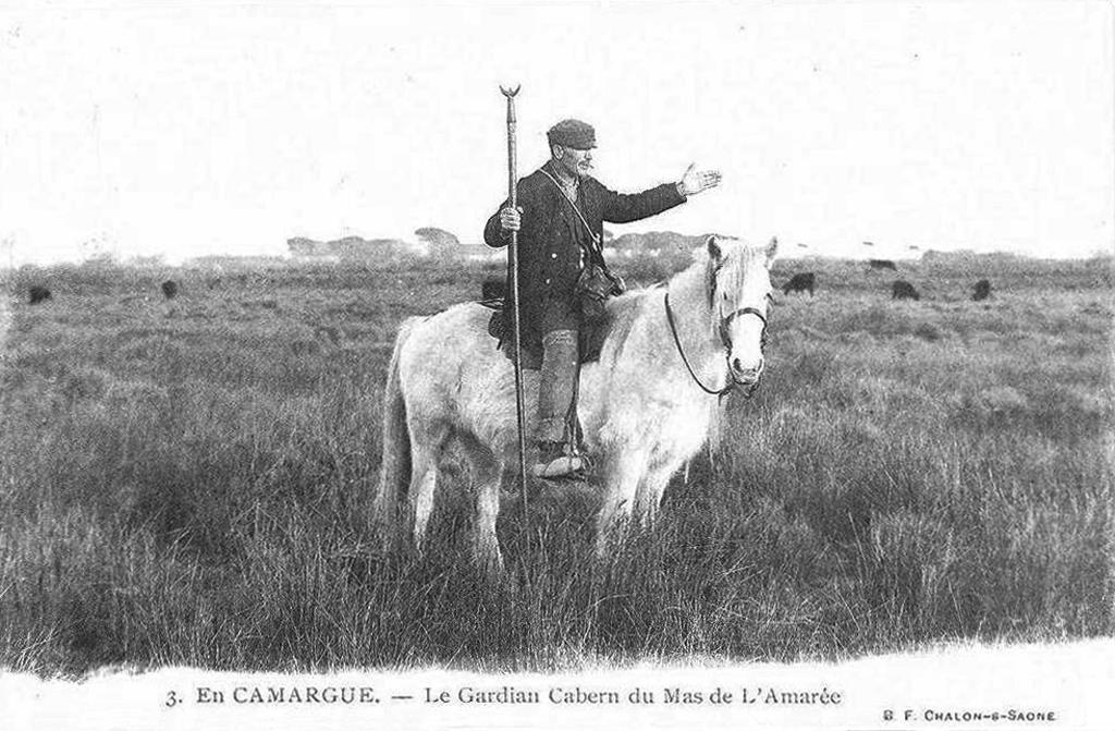 Maguelonne e Frédérique, detta Riquette 72. Il marchese de Baroncelli si ritrova così, spesso e volentieri solo, nella sua dimora dell Amarée. (Immagine 5. Il gardian Cabern nel mas de l Amarée.