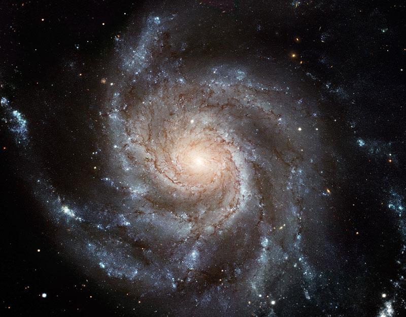 Nuclei Galattici Attivi Nell universo locale il ~10% delle galassie ha un nucleo compatto e molto luminoso detto Nucleo Galattico Attivo (Active Galactic Nucleus, AGN).