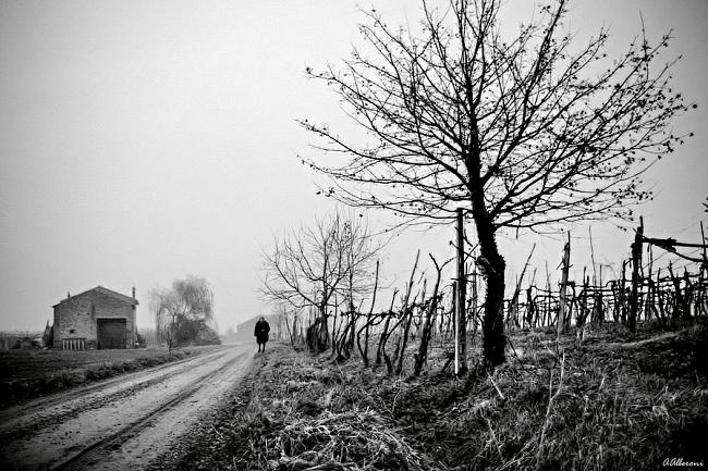 Esempio di composizione In questo esempio il fotogramma risulta particolarmente dinamico per le linee della strada che confluiscono verso il personaggio volutamente posizionato nel terzo inferiore.