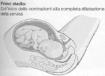 (settimane) 2) Quale è la data presunta del parto? 3) Quante gravidanze ha avuto? (primipara/multipara) 4) Patologie croniche note?