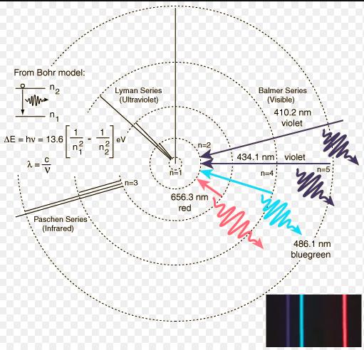 L ATOMO DI BOHR Nel 1913, Niels Bohr, propose un interpretazione dello spettro dell idrogeno: -gli elettroni non emettono radiazione elettromagnetica e sono stabili solo se percorrono alcune tra le
