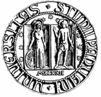 UNIVERSITÀ DEGLI STUDI DI PADOVA SEDE DECENTRATA DI VICENZA FACOLTÀ DI INGEGNERIA CORSO DI LAUREA MAGISTRALE IN INGEGNERIA MECCATRONICA TESI DI LAUREA SVILUPPO E PROGETTAZIONE DI