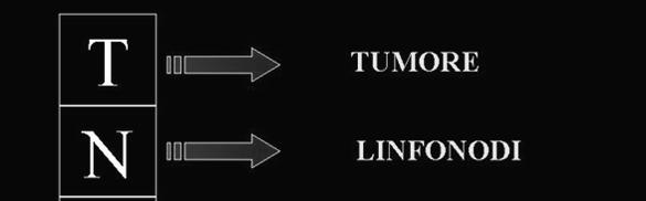 Assenza di segni di tumore primitivo T1 Tumore inferiore a 3 cm circondato da polmone o