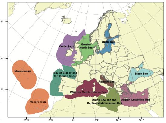 Mediterraneo occidentale