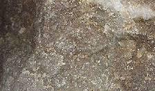 ARENITI Rocce clastiche formate per cementazione di elementi che hanno diametro fra 2 mm e 0,016 mm.